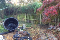 Before