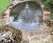 Pond renovation after